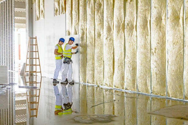Best Residential Insulation in Farmers Loop, AK
